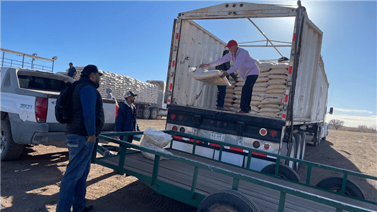 Entrega el Gobierno Municipal 917 toneladas de maíz rolado a productores rurales afectados por la sequía, con inversión compartida entre el municipio y los beneficiarios